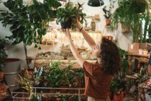 Florist in Franklin, Tennessee, arranging flowers and plants.