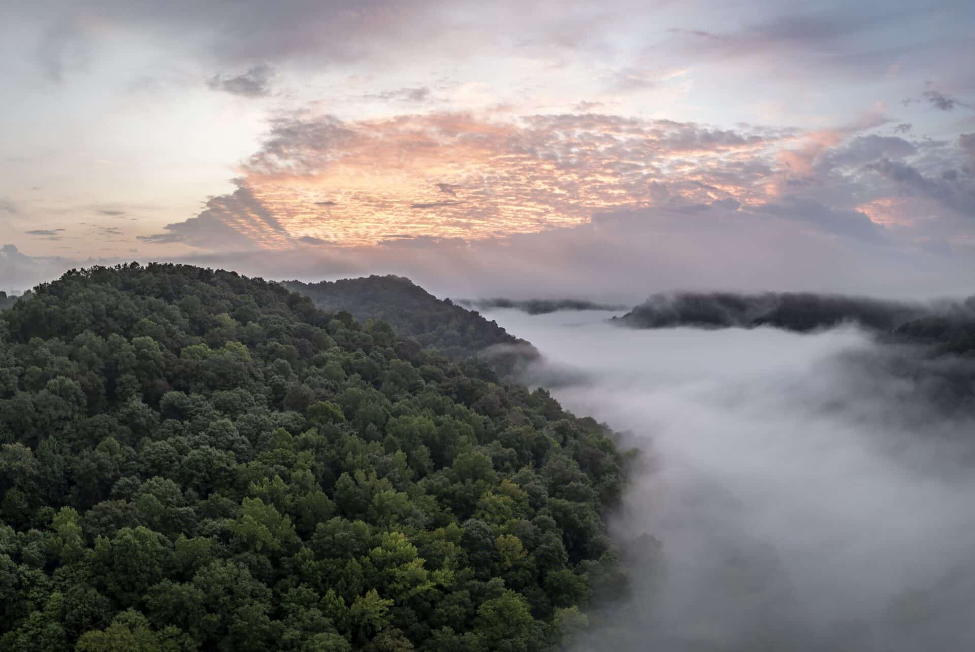 Fog over Spring Creek by Chuck Sutherland