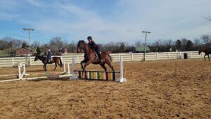 Franklin TN Horse Riding Camps at Creekside Riding Academy and Stables.