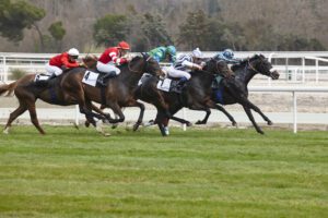 Horses racing, Franklin, Tennessee Derby Party events.