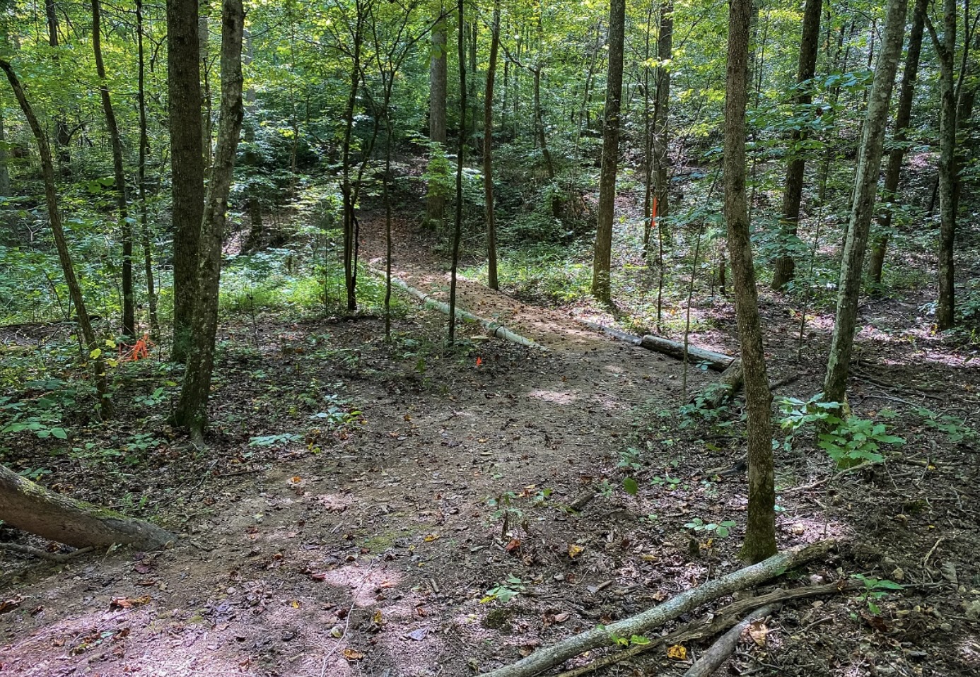 Wilkins Branch Mountain Bike Park Franklin TN