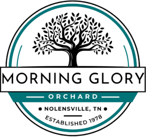 Morning Glory Orchard Nolensville, Tennessee-Logo