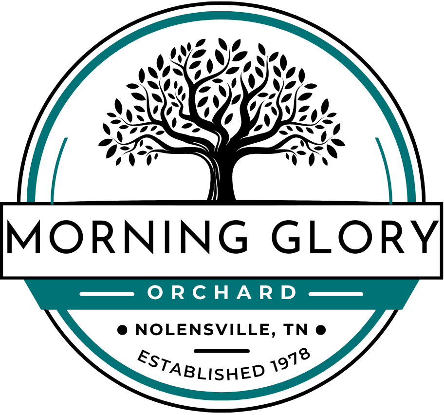 Morning Glory Orchard Nolensville, TN_Logo.