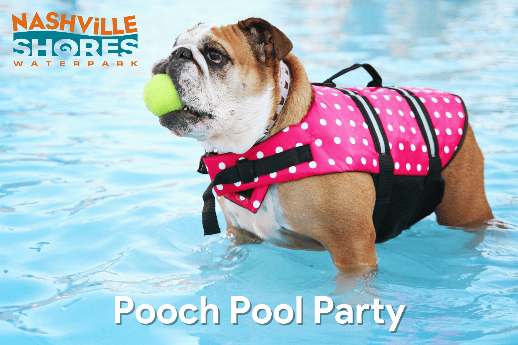 Nashville Shores Pooch Pool Party, a dog friendly event in Nashville, Tennessee.