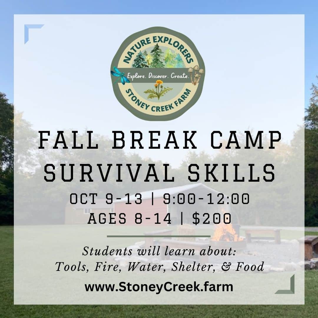 Fall-Break-Wilderness-Survival-Skills-Franklin-TN-Event