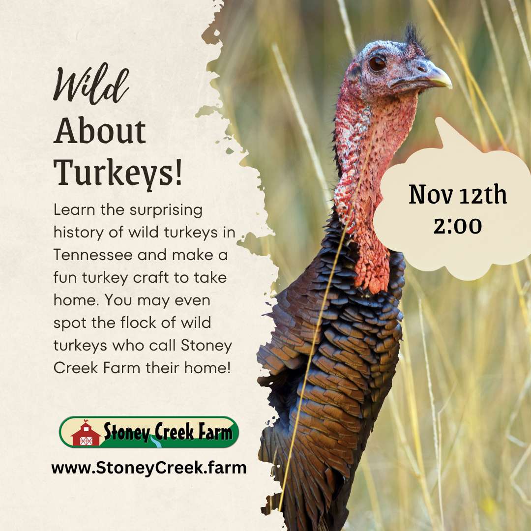 Wild-About-Turkeys-Event-Franklin-TN_Stoney-Creek-Farm