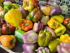 Peppers at the Franklin Farmers Market in downtown Franklin, Tennessee.