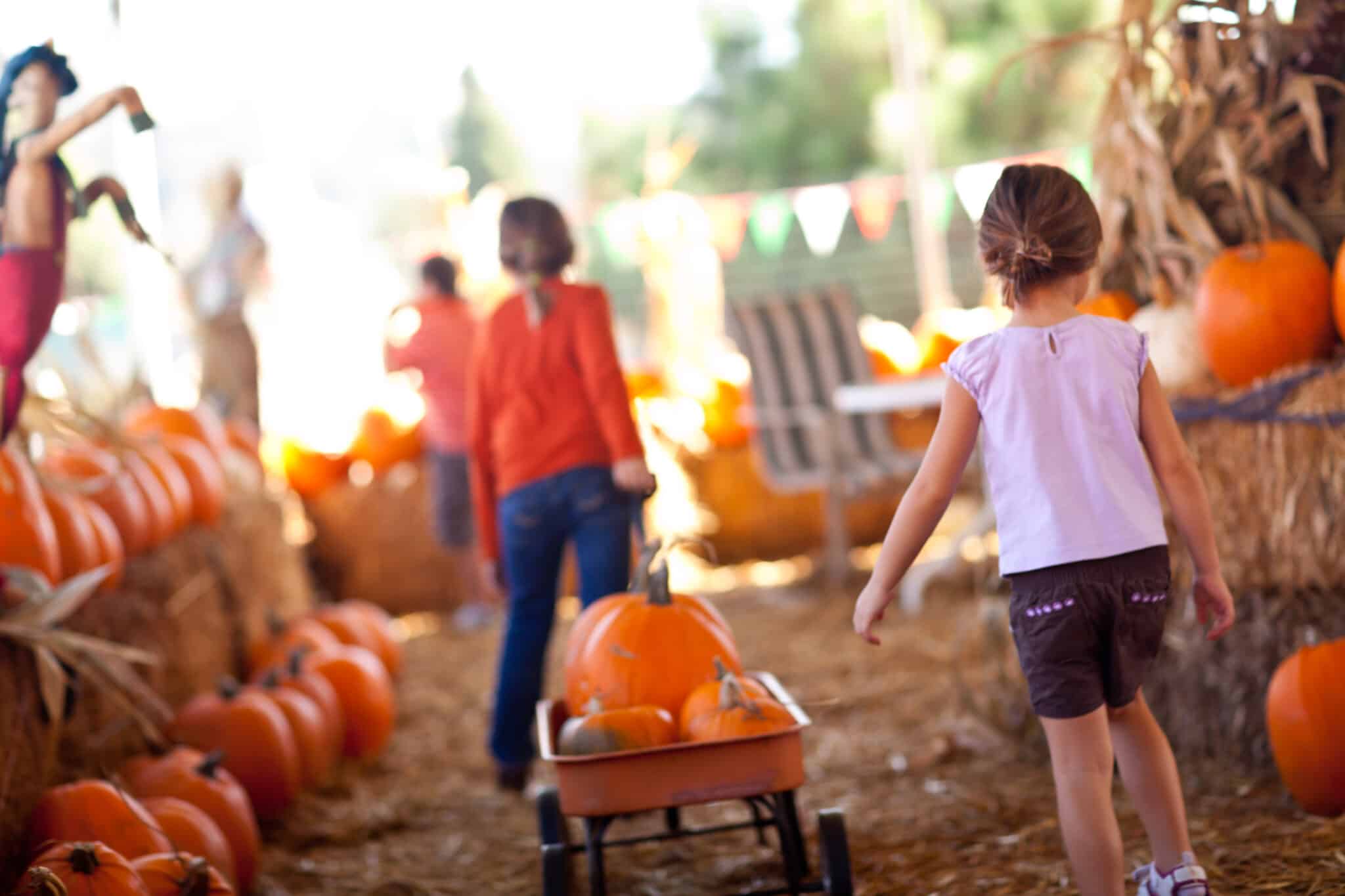 Kids pulling pumpkins in a wagon at a pumpkin patch in Franklin, Tennessee on a fall day.