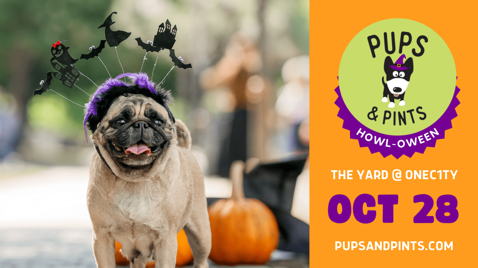 Take your doggy trick or treating at the Bark Bash at the Heritage