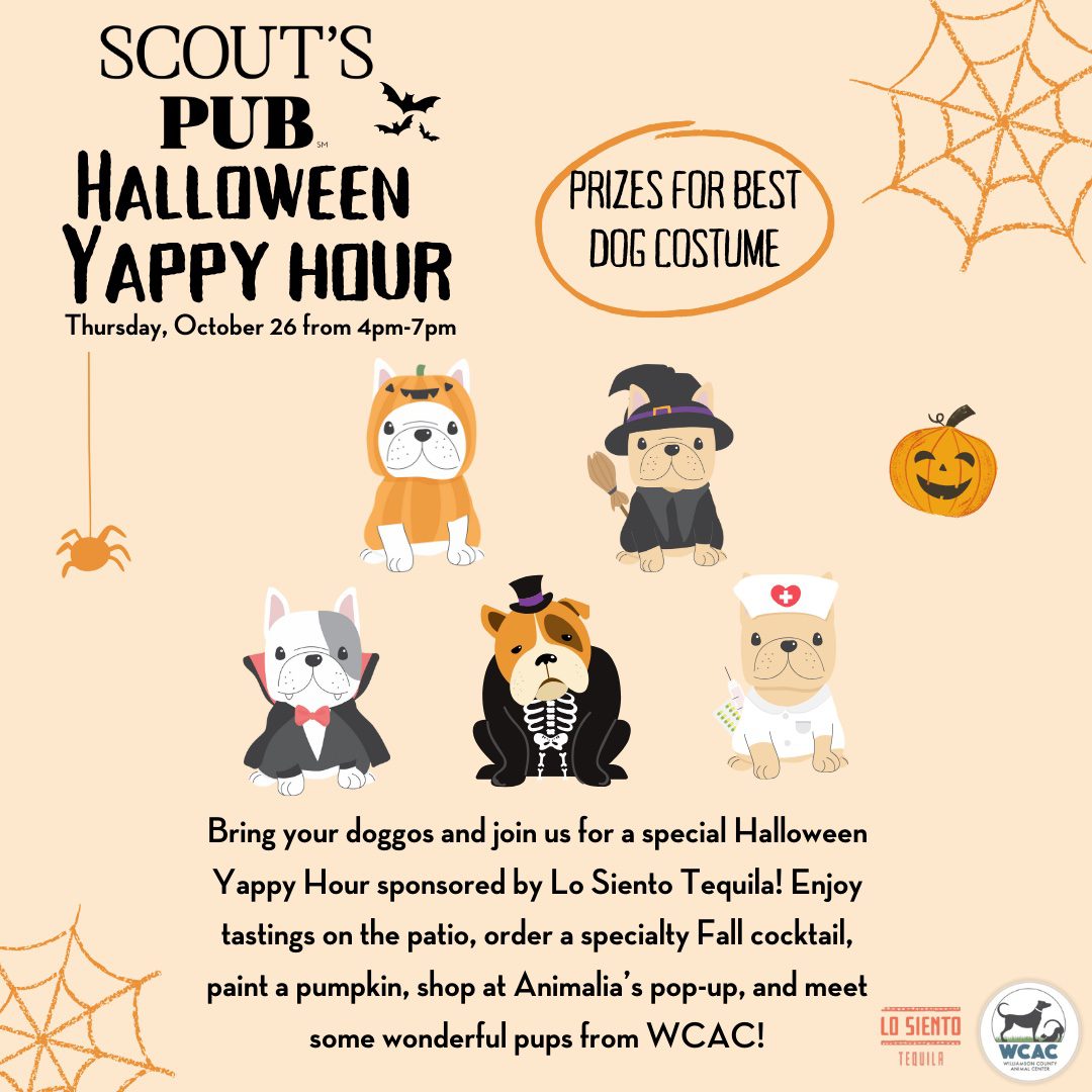 Halloween-Yappy-Hour-Franklin-TN-Scouts-Pub-Westhaven-Puppy-Costume-Party.
