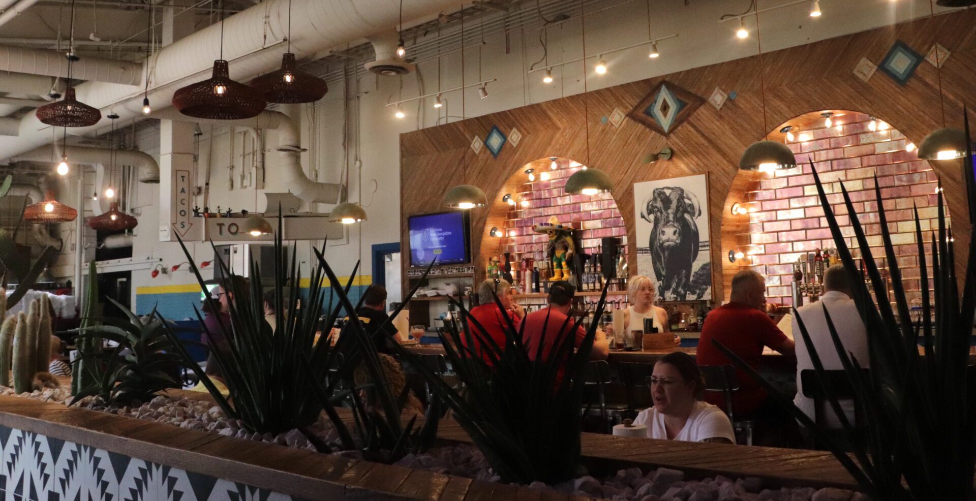 Mojo's Tacos Restaurant Downtown Franklin_Bar