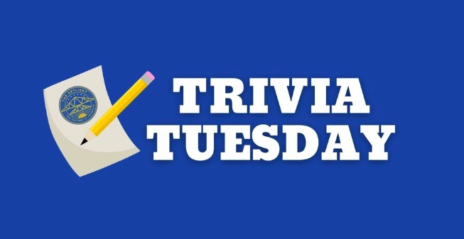 Trivia Tuesday at The Skylight Bar in downtown Franklin, Tennessee.