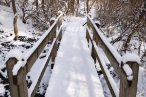 Franklin TN Winter Hike Walkway Path