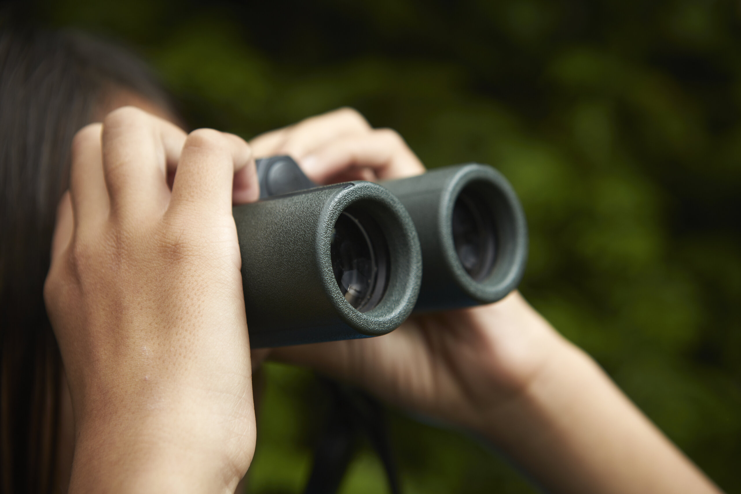 Junior Naturalists Lets-Go Birding in Brentwood, TN at Owls Hill Nature Sanctuary.