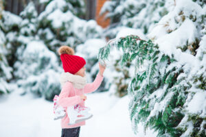 Snow Day in Williamson County, TN: Keeping the Kids Busy