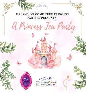 A Princess Tea Party Event Franklin TN