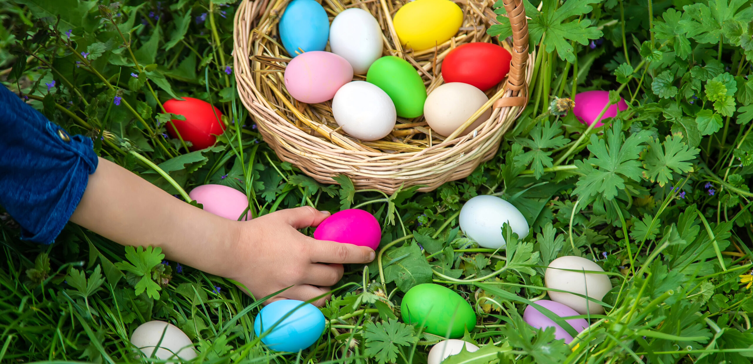 Child hunting Easter eggs.