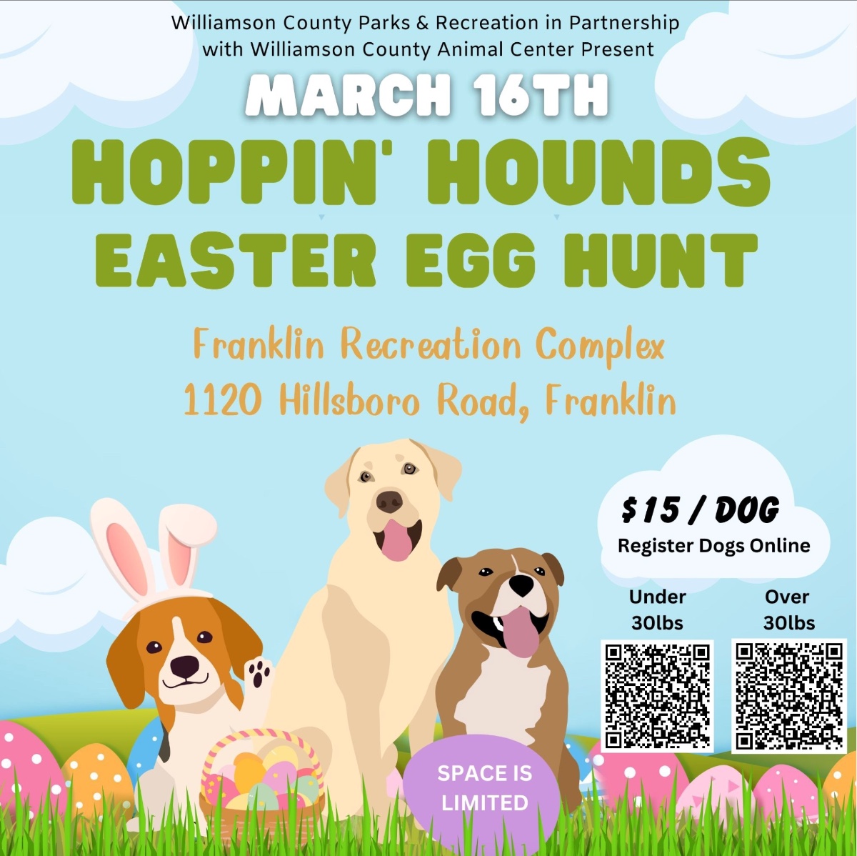 Hoppin' Hounds Dog Easter Egg Hunt in Franklin, TN.