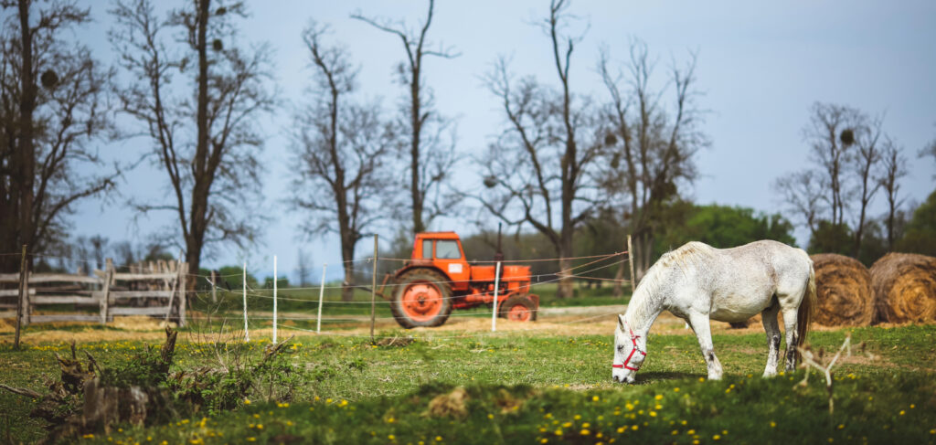 Agritourism Adventures in Franklin, Williamson County, and Beyond