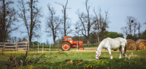 Agritourism in Williamson County TN