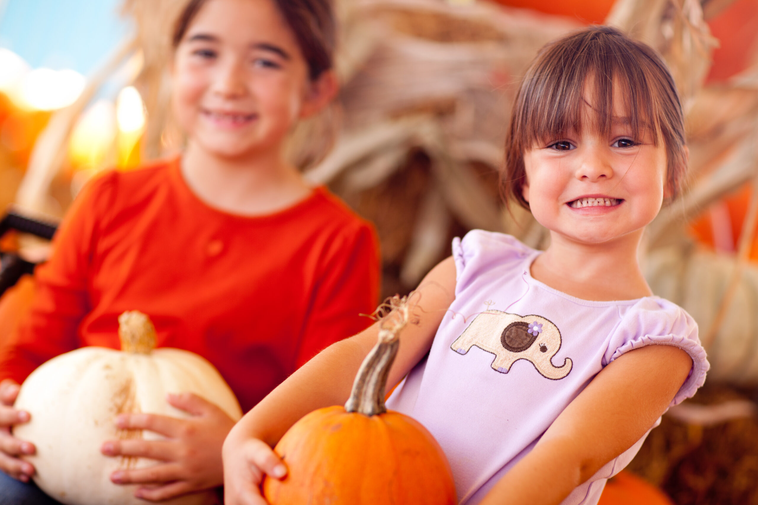 Fall Family Fun Festival at Lucky Ladd Farms in Tennessee, two children holding pumpkins.