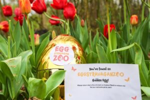 Nashville Zoo's Eggstravaganzoo Egg Hunt Event Nashville, TN