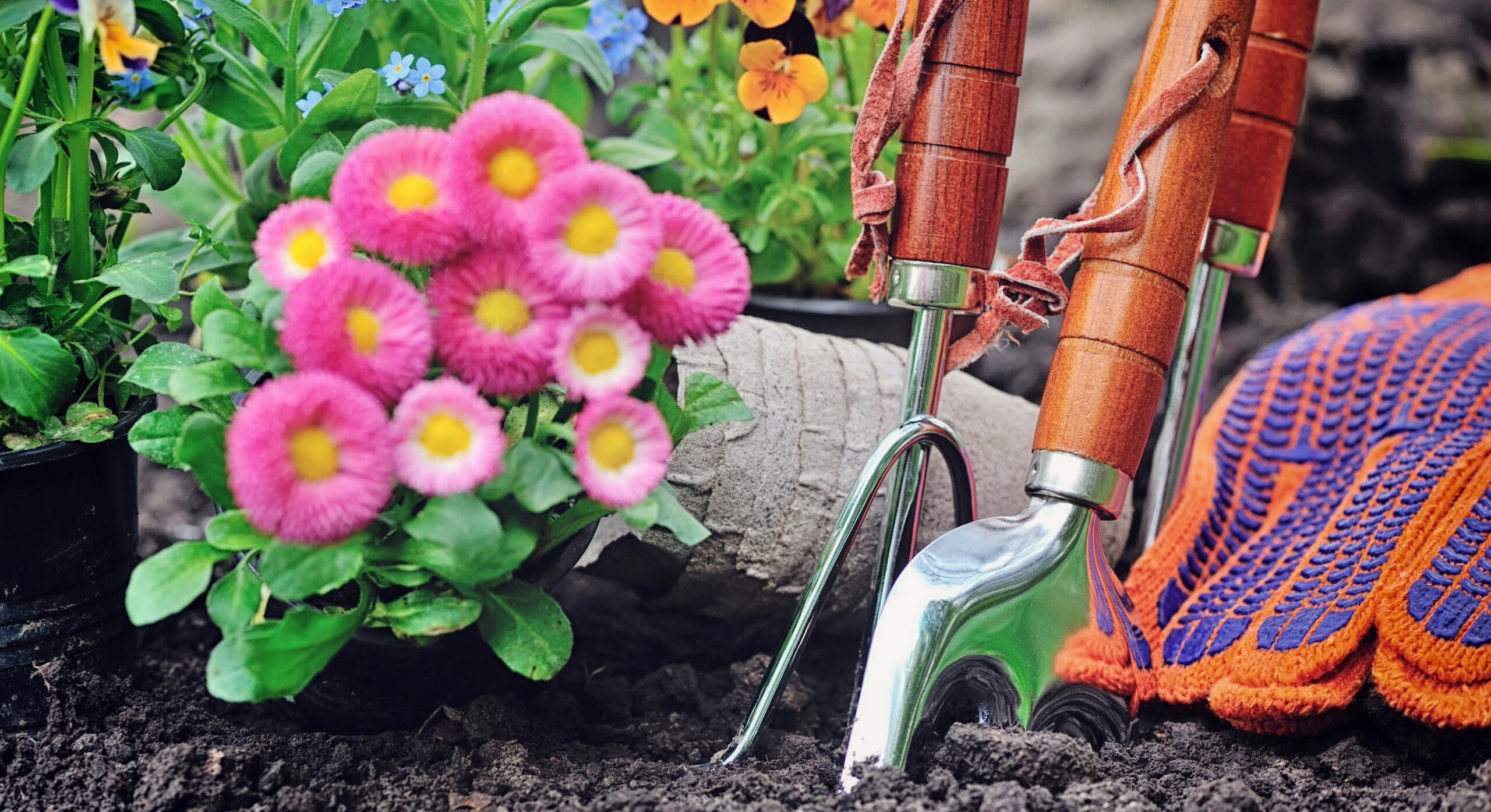 Gardening tools and spring flowers in a Franklin, Tennessee garden.