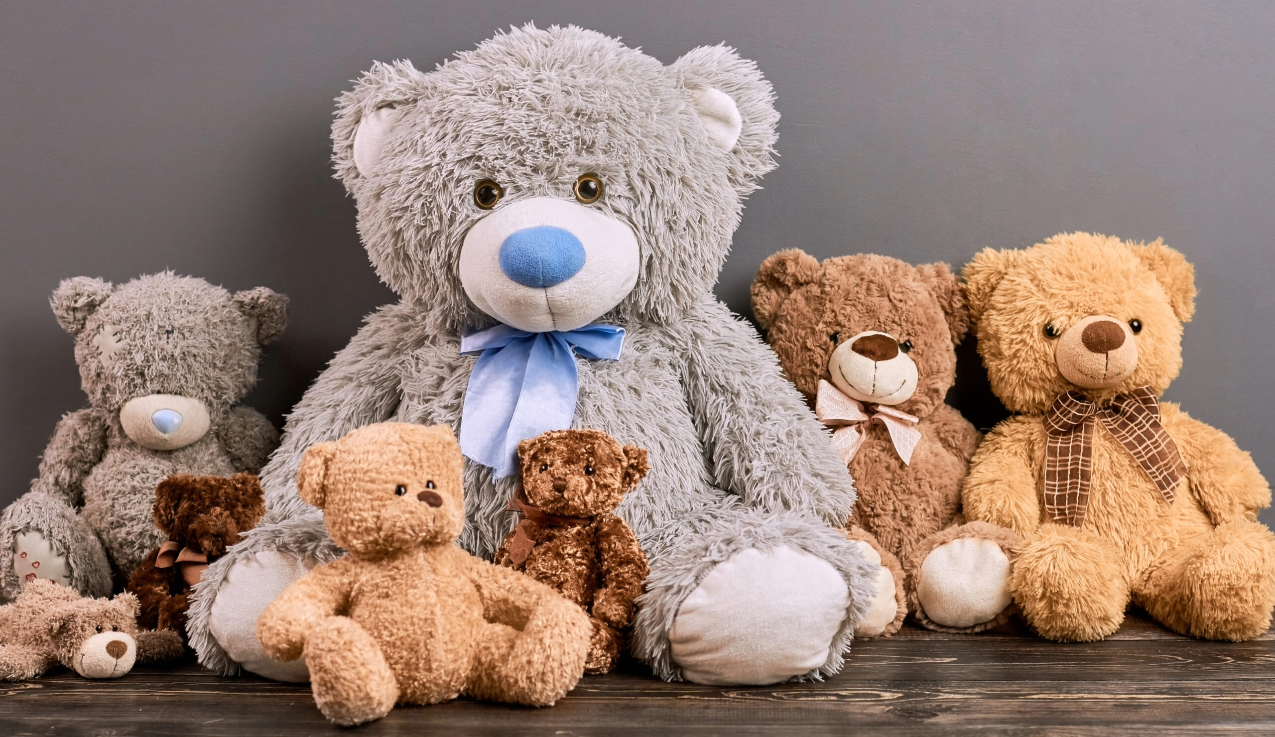 Teddy bears for Davis House Stuffed Animal Drive