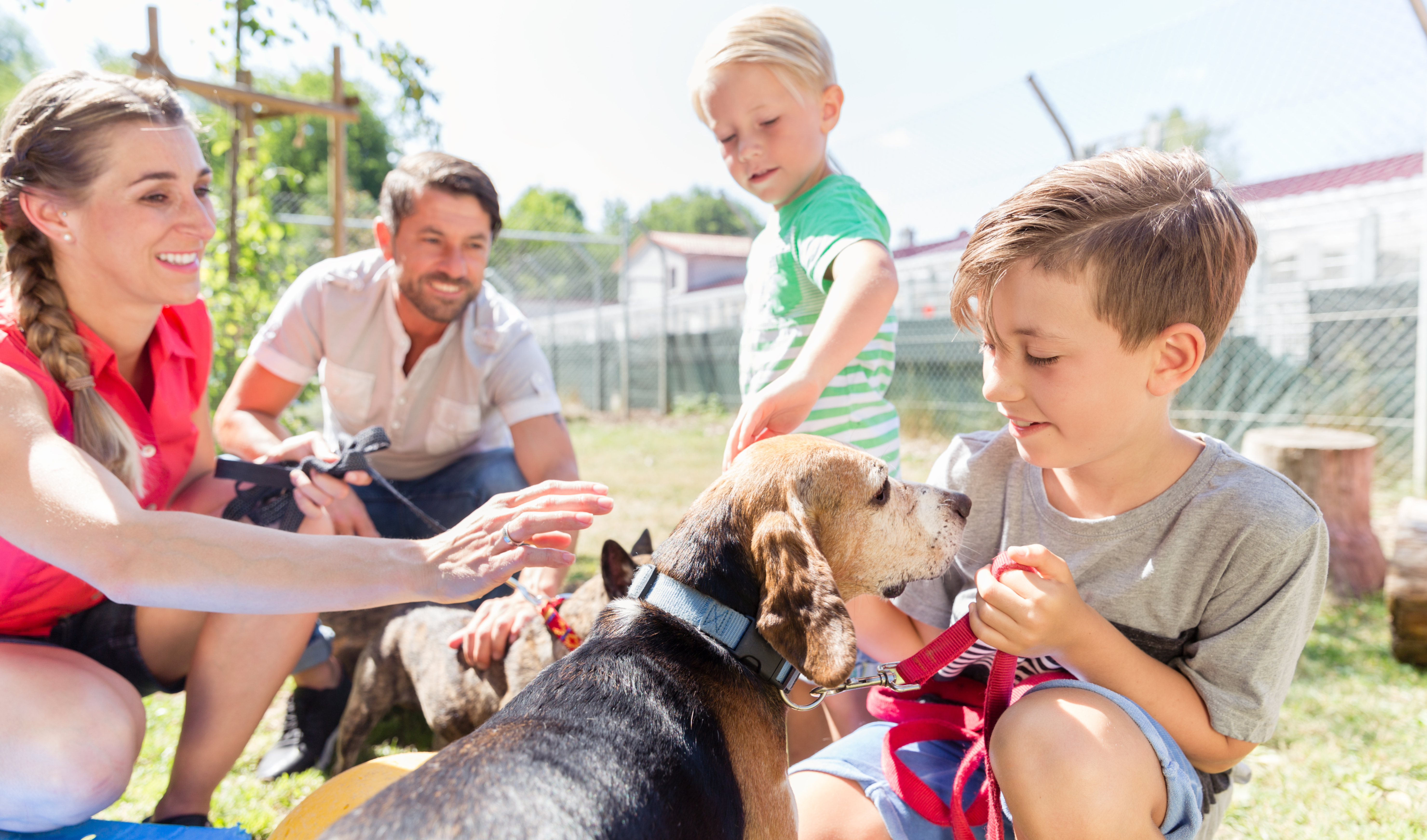 Family adopting a dog at animal shelter