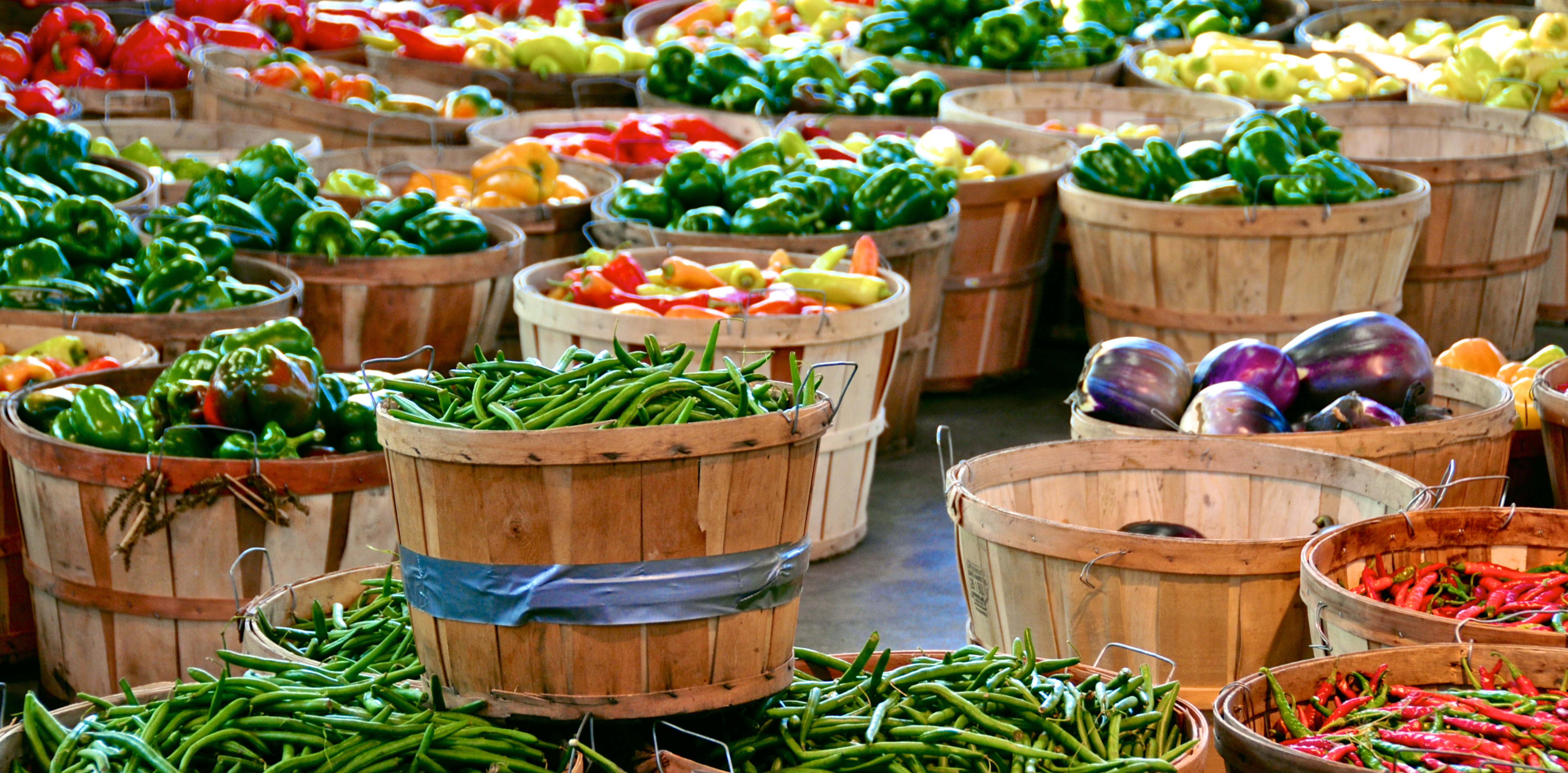 Williamson County TN Farmers Market produce (1)