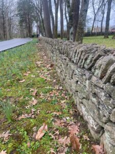 Dry Stack Stone Walls 1