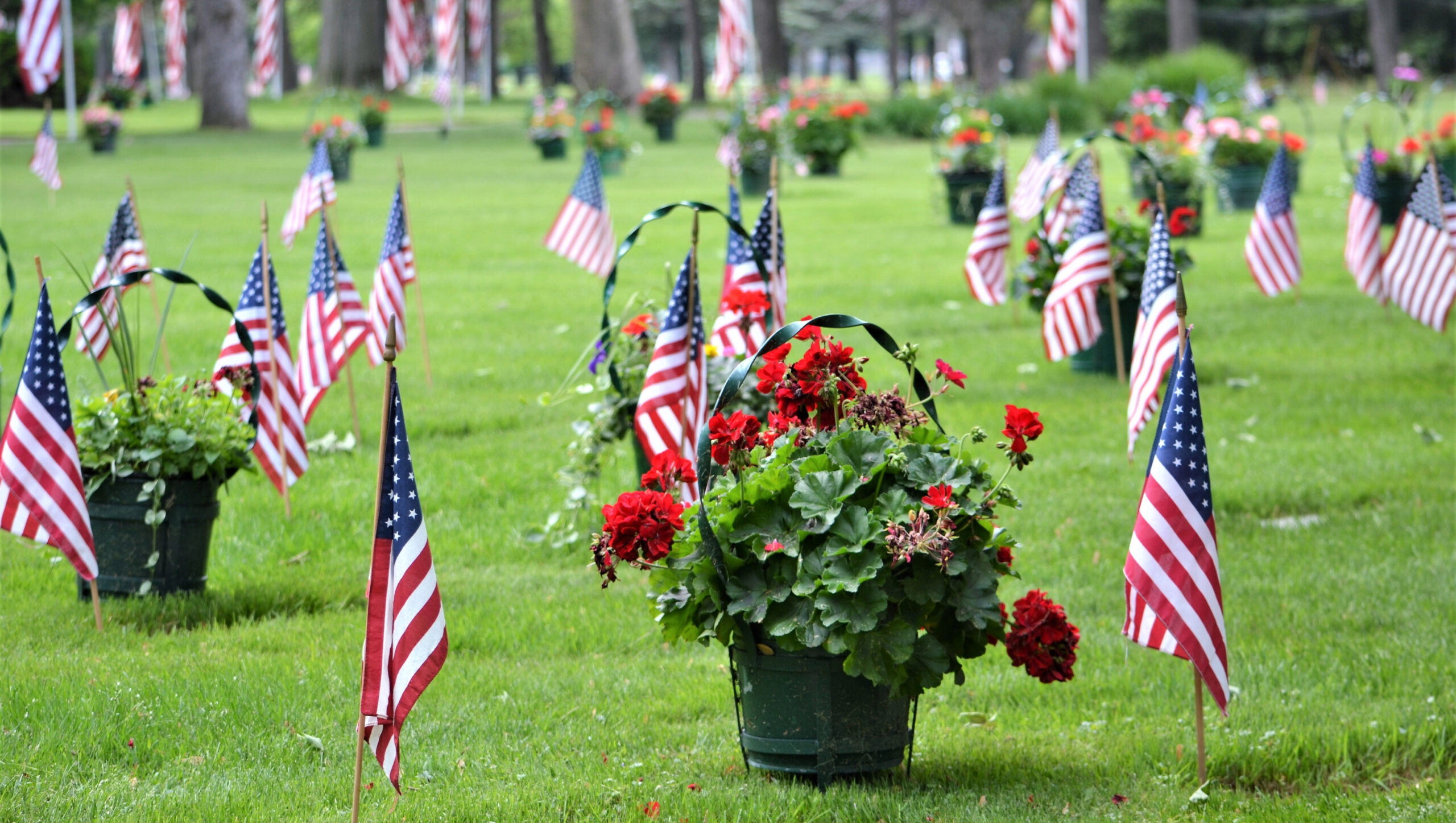 Memorial Day national cemetery flags