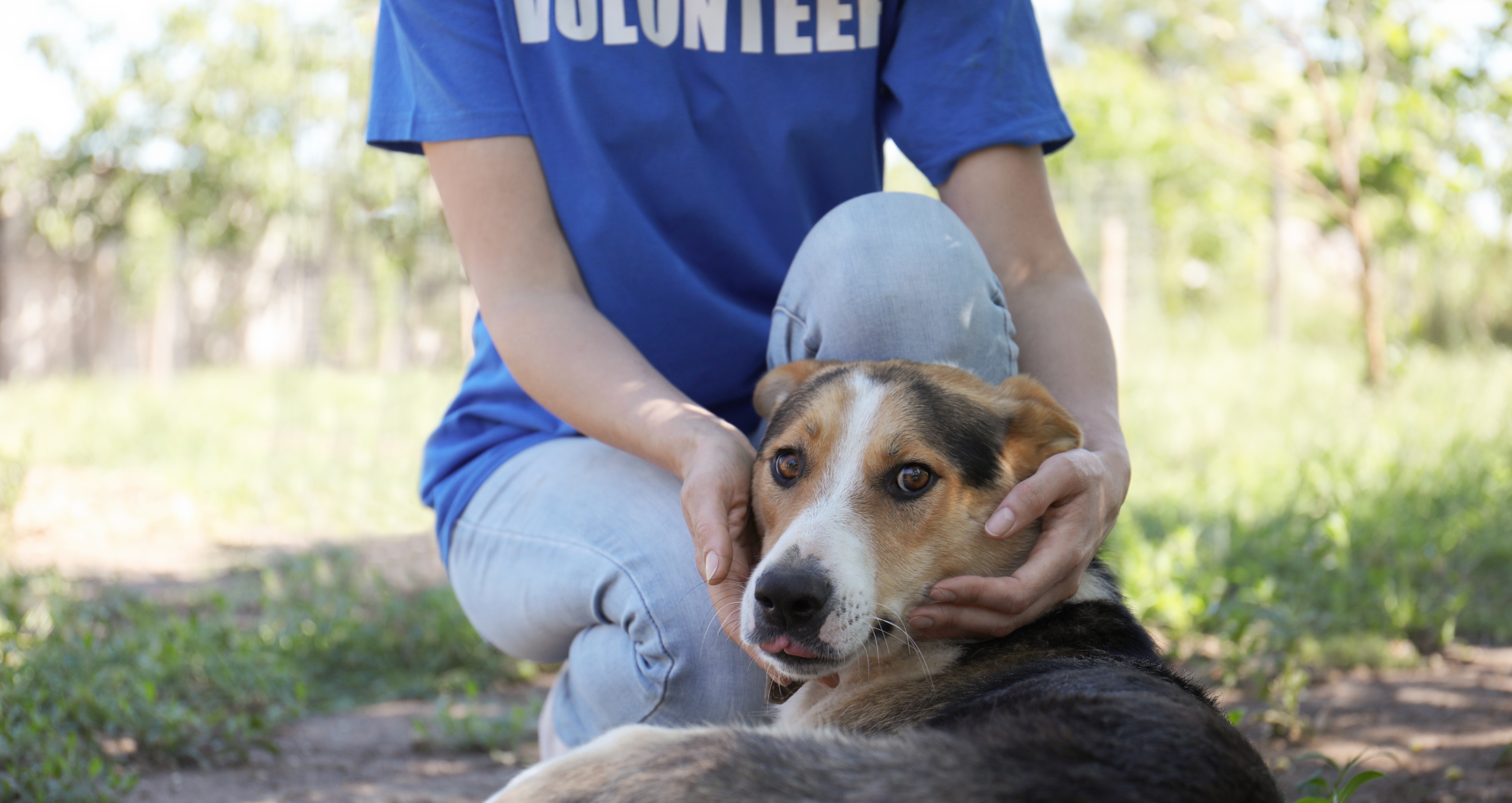 Pet shelter volunteer with dog