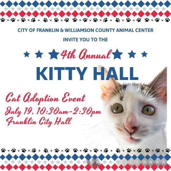 Franklin Kitty Hall Adoption Event 2024