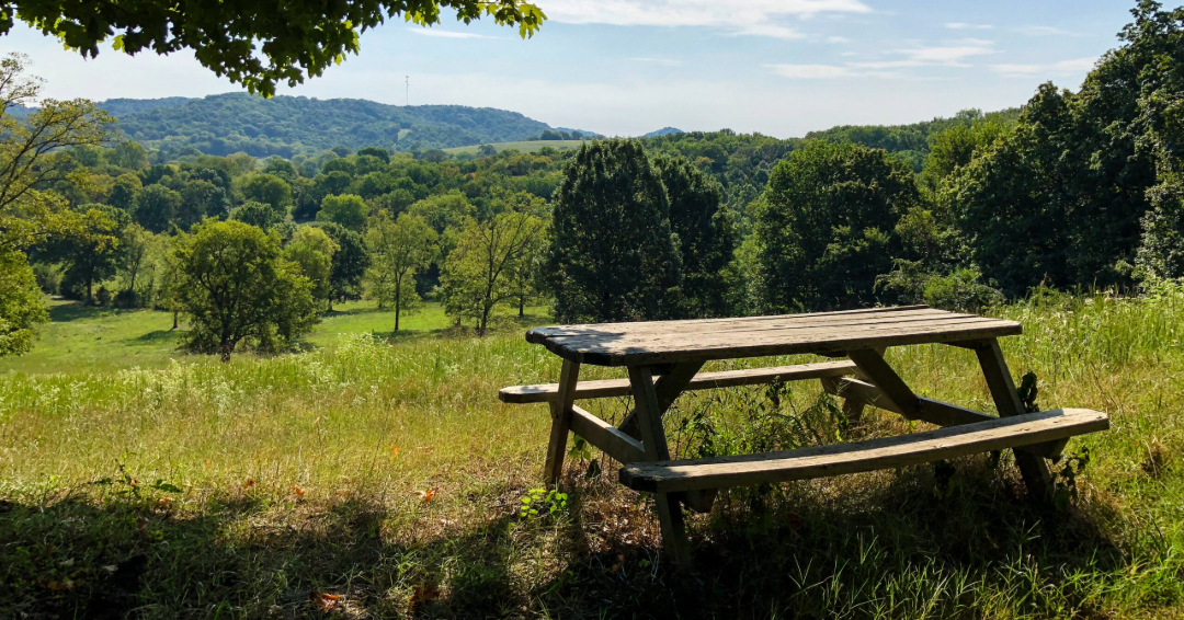 Peacock Hill Nature Park picnic area in College Grove, Tennessee.