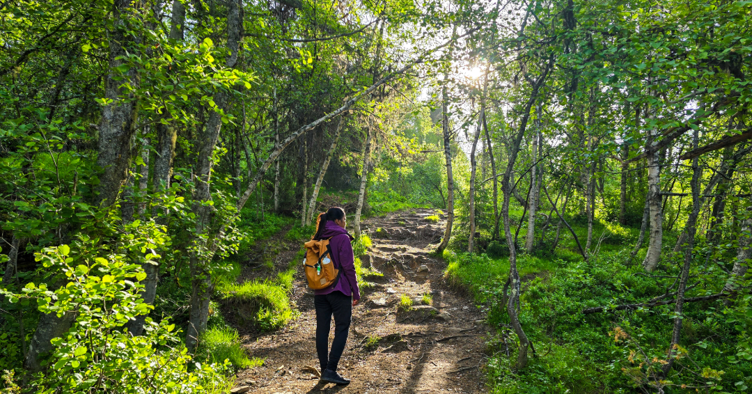 Henry Horton State Park Hiking