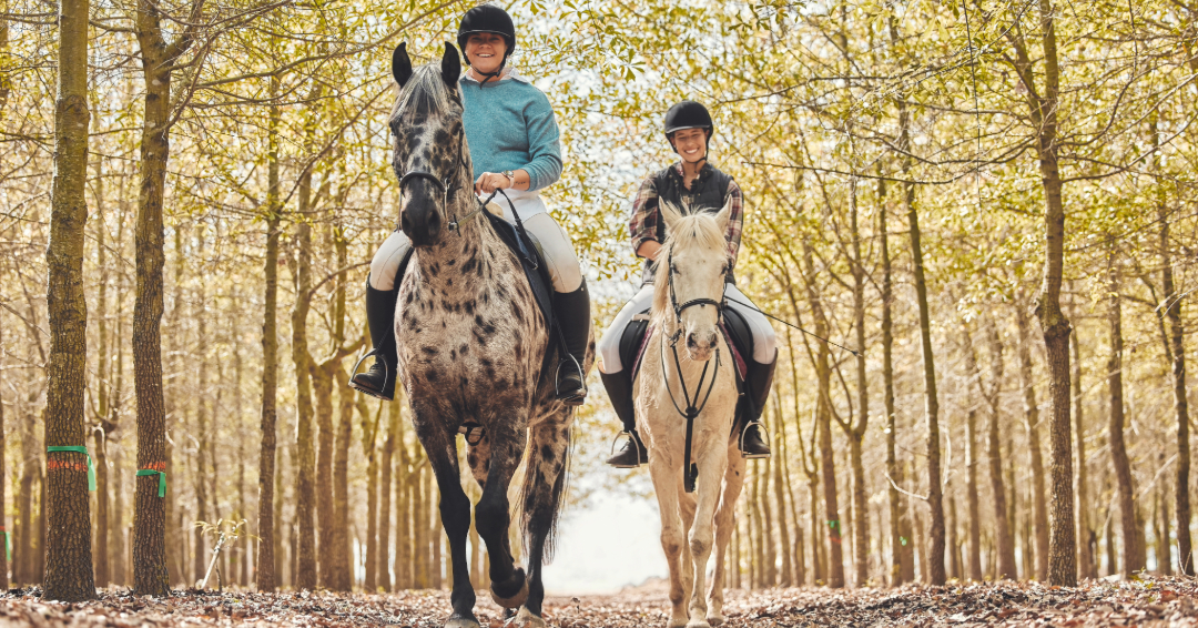 Horseback riding Natchez Trace State Park