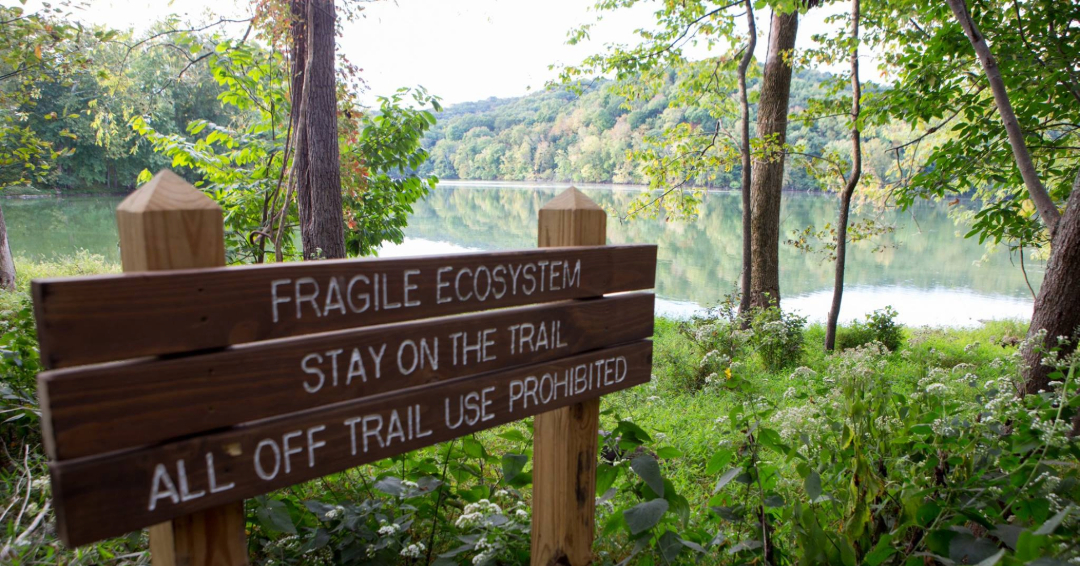 Radnor Lake Hiking