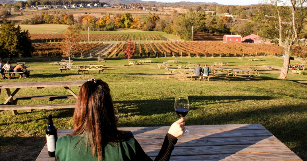 Arrington Vineyards in the Fall