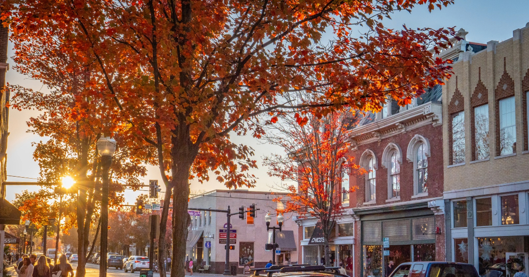 Downtown Franklin Fall Foliage