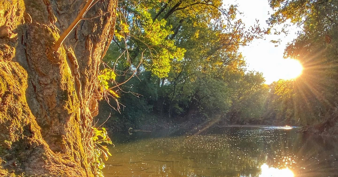 The Park at Harlinsdale Farm Harpeth in the Fall