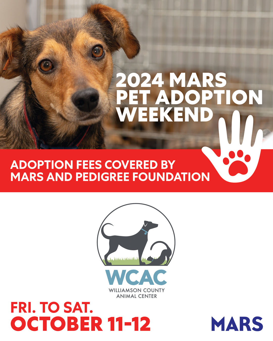 2024 Mars Pet Adoption Weekend at Williamson County Animal Center in Franklin, Tennessee.