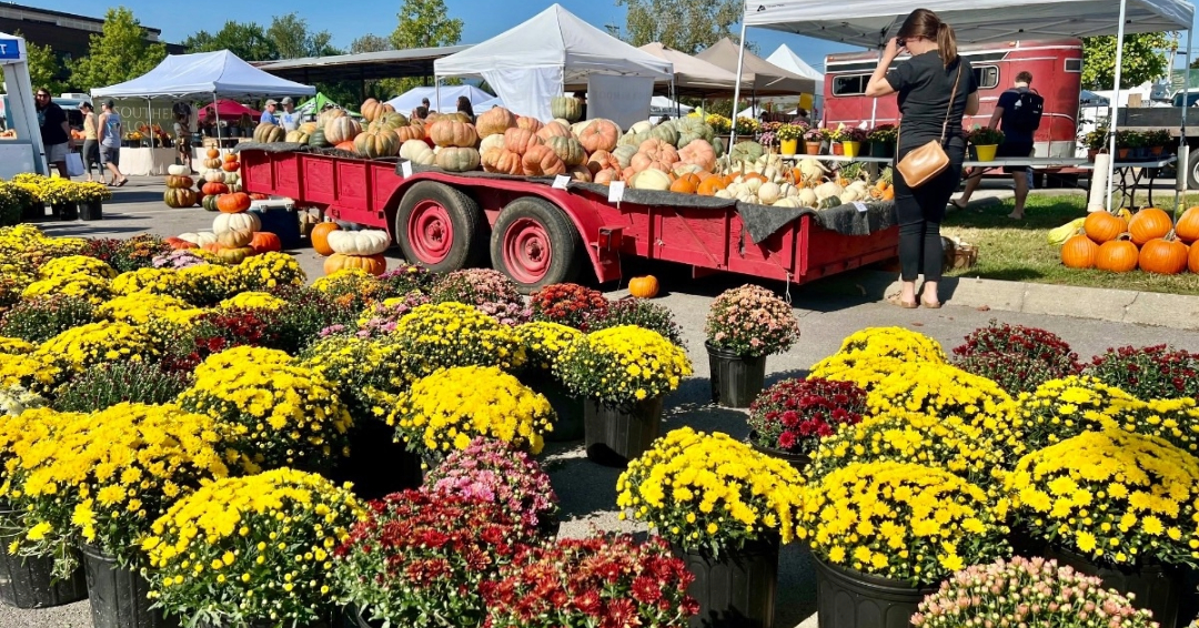 Franklin Farmers Market Franklin TN Fall Activities