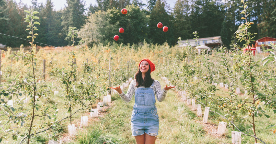 Morning Glory Orchard Nolensville, TN, girl juggling apples.