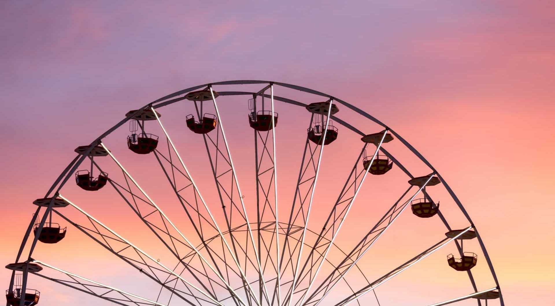 Williamson County Fair Franklin, Tennessee_Family Fun