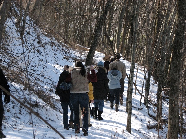 Marshmallow Hikes at Owl’s Hill in Brentwood, TN.