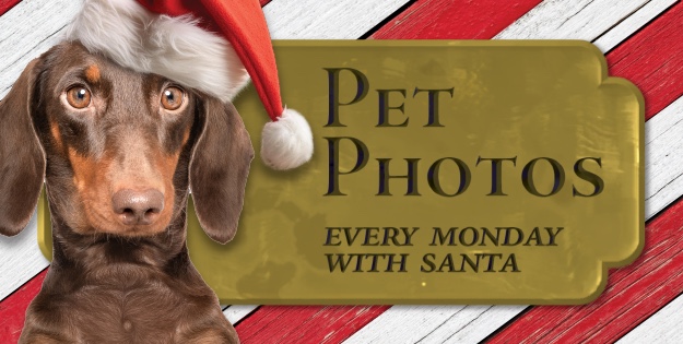 Santa's Workshop | Pet Photos with Santa in Franklin a CoolSprings Galleria.