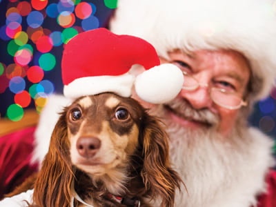 Pup Pics with Santa at Lucky Ladd Farms.