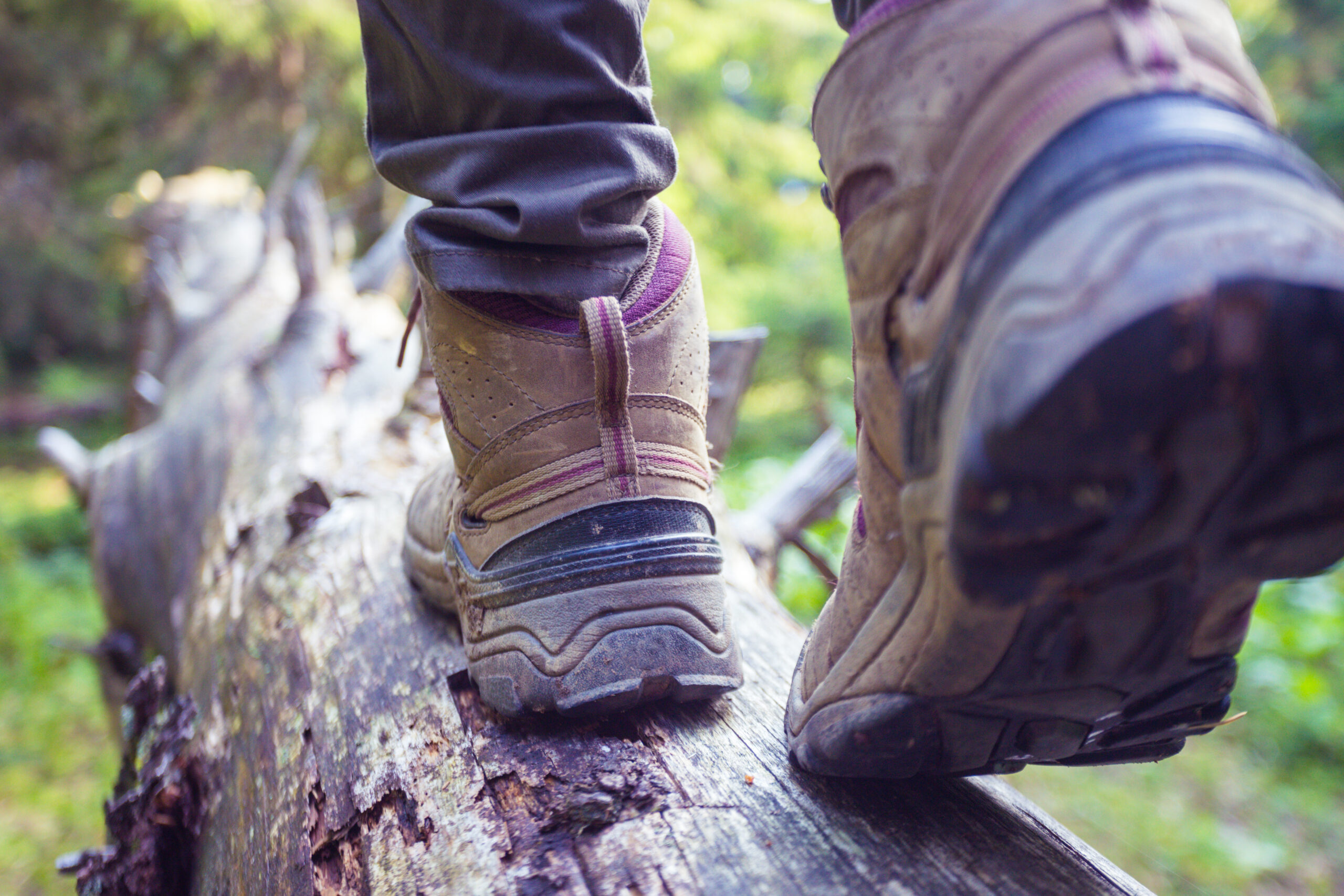 Close up of hiking boots, walking over fallen tree