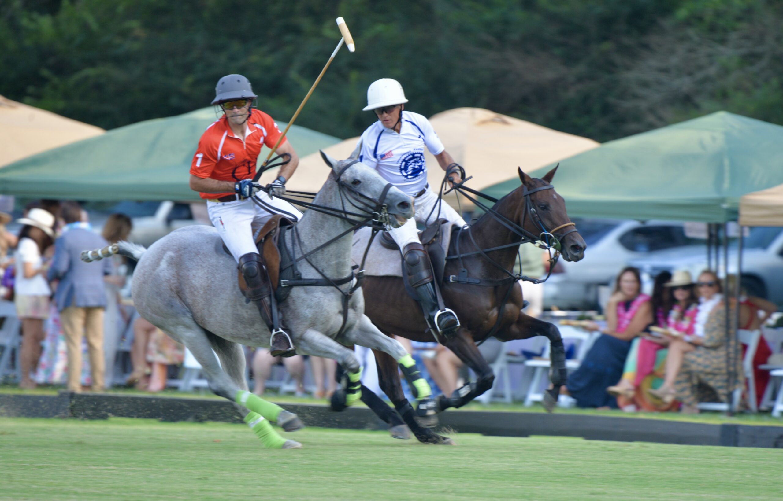 Chukkers for Charity polo match in Franklin, Tennessee.